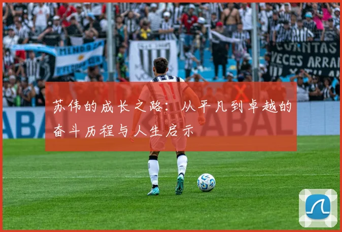 苏伟的成长之路：从平凡到卓越的奋斗历程与人生启示